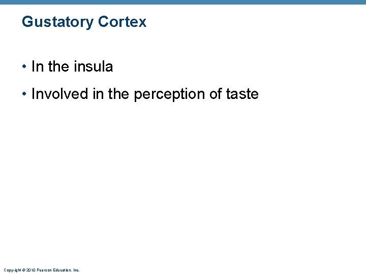Gustatory Cortex • In the insula • Involved in the perception of taste Copyright