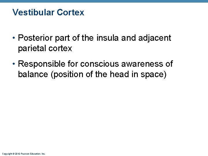 Vestibular Cortex • Posterior part of the insula and adjacent parietal cortex • Responsible