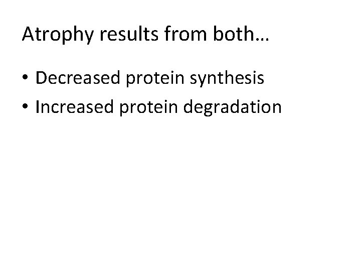 Atrophy results from both… • Decreased protein synthesis • Increased protein degradation 