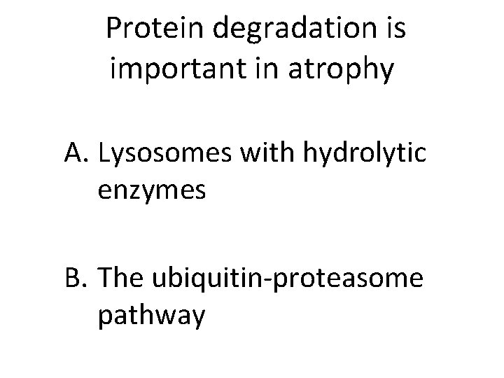 Protein degradation is important in atrophy A. Lysosomes with hydrolytic enzymes B. The ubiquitin-proteasome