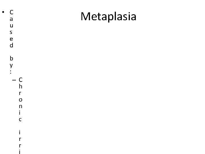  • C a u s e d Metaplasia b y : –C h