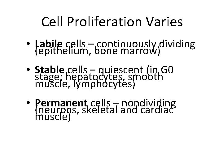Cell Proliferation Varies • Labile cells – continuously dividing (epithelium, bone marrow) • Stable