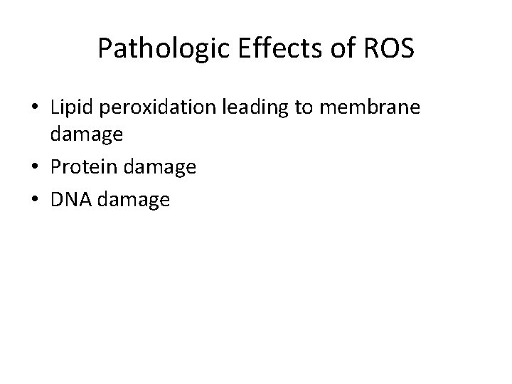 Pathologic Effects of ROS • Lipid peroxidation leading to membrane damage • Protein damage