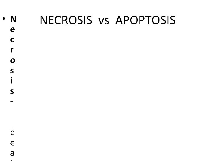  • N e c r o s i s d e a NECROSIS