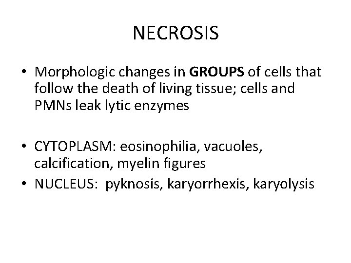 NECROSIS • Morphologic changes in GROUPS of cells that follow the death of living