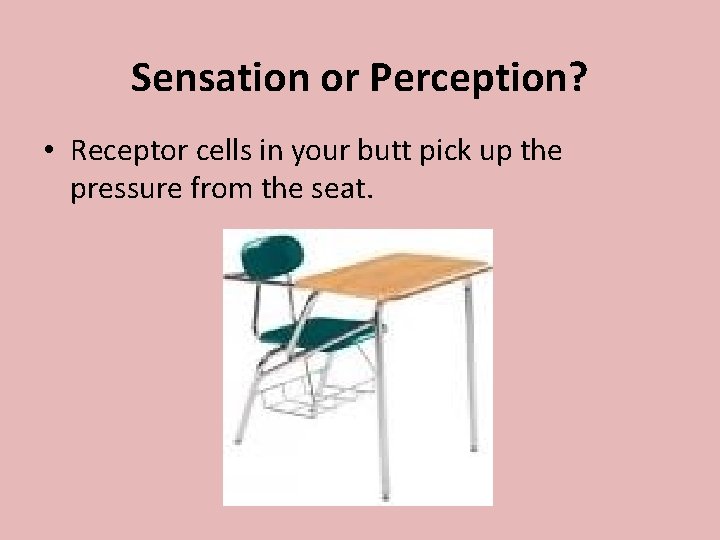 Sensation or Perception? • Receptor cells in your butt pick up the pressure from