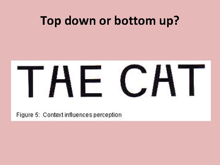 Top down or bottom up? 