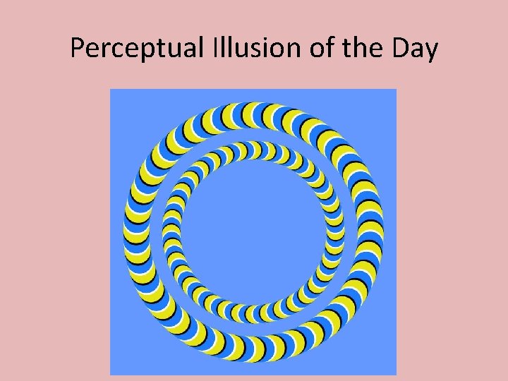Perceptual Illusion of the Day 