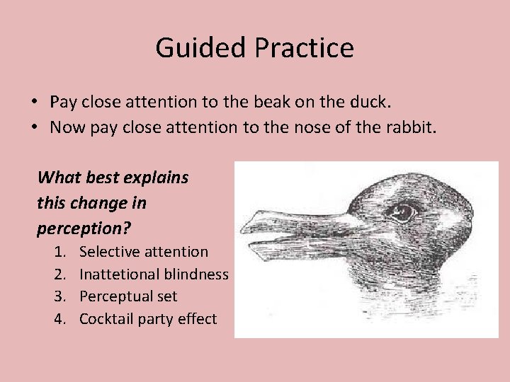Guided Practice • Pay close attention to the beak on the duck. • Now