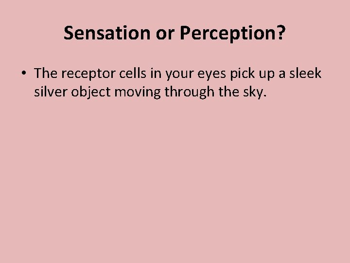 Sensation or Perception? • The receptor cells in your eyes pick up a sleek