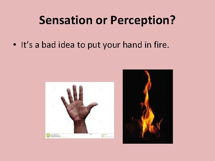 Sensation or Perception? • It’s a bad idea to put your hand in fire.