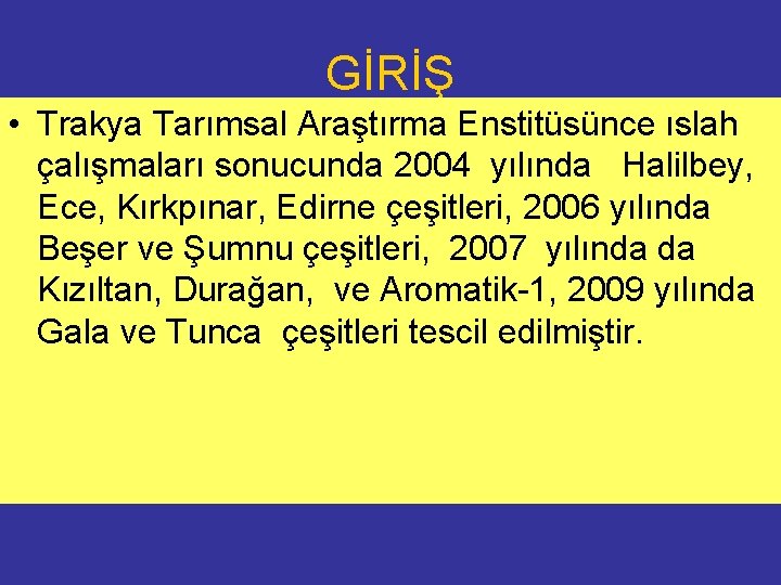 GİRİŞ • Trakya Tarımsal Araştırma Enstitüsünce ıslah çalışmaları sonucunda 2004 yılında Halilbey, Ece, Kırkpınar,