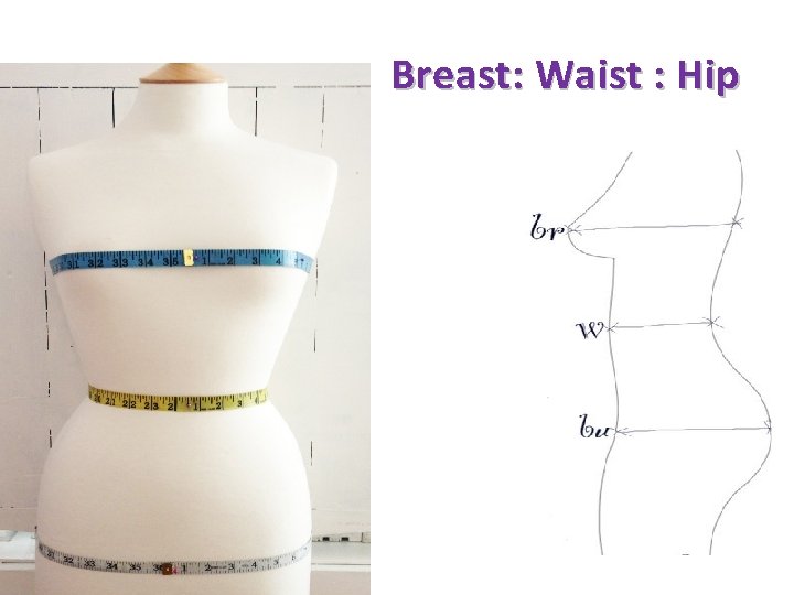 Breast: Waist : Hip 