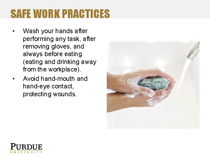 SAFE WORK PRACTICES • • Wash your hands after performing any task, after removing