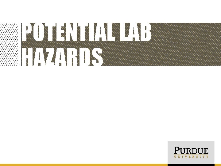 POTENTIAL LAB HAZARDS 