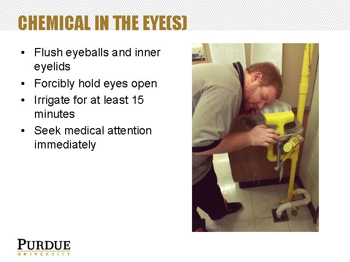 CHEMICAL IN THE EYE(S) • Flush eyeballs and inner eyelids • Forcibly hold eyes