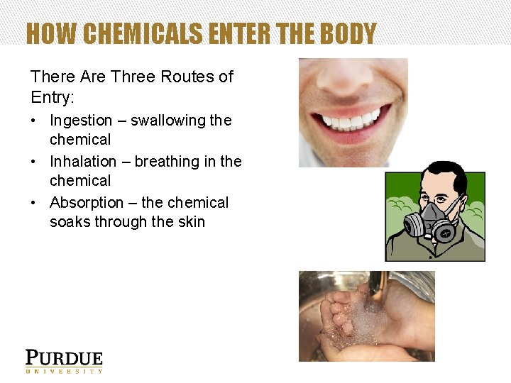 HOW CHEMICALS ENTER THE BODY There Are Three Routes of Entry: • Ingestion –