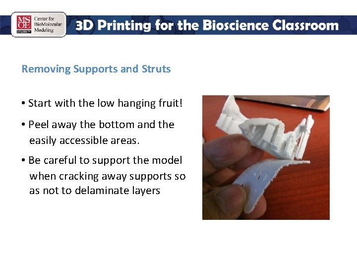 Removing Supports and Struts • Start with the low hanging fruit! • Peel away