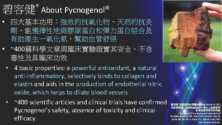 碧容健® About Pycnogenol® • 四大基本功用：強效的抗氧化物、天然的抗炎 劑、能選擇性地與膠原蛋白和彈力蛋白結合及 有助產生一氧化氮，幫助血管舒張 • ~400篇科學文章與臨床實驗證實其安全、不含 毒性及具臨床功效 • 4 basic properties: