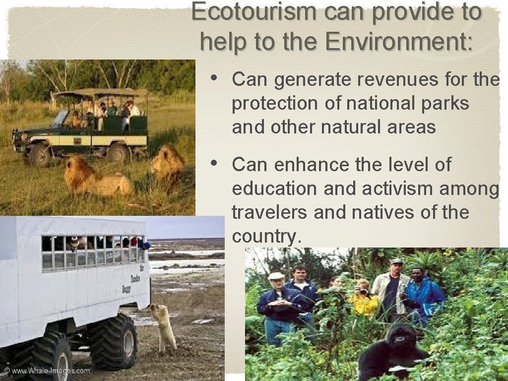Ecotourism can provide to help to the Environment: • Can generate revenues for the