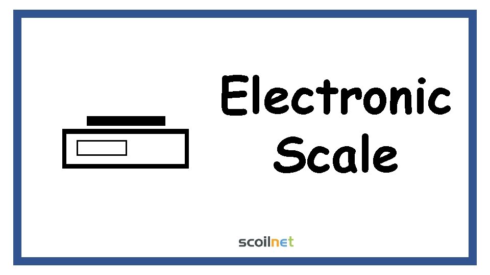 Electronic Scale 