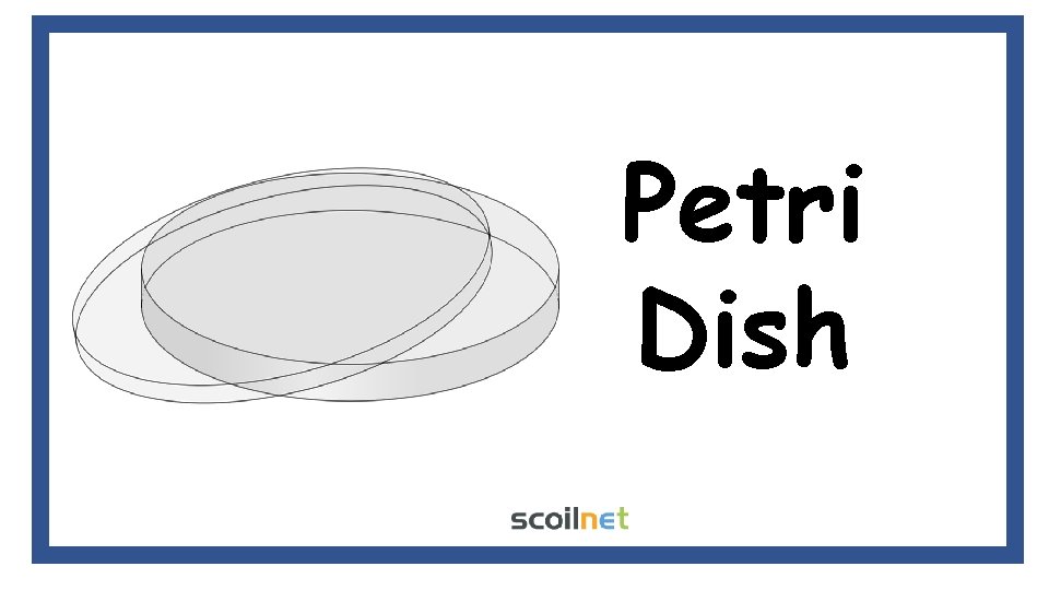 Petri Dish Petri Dish