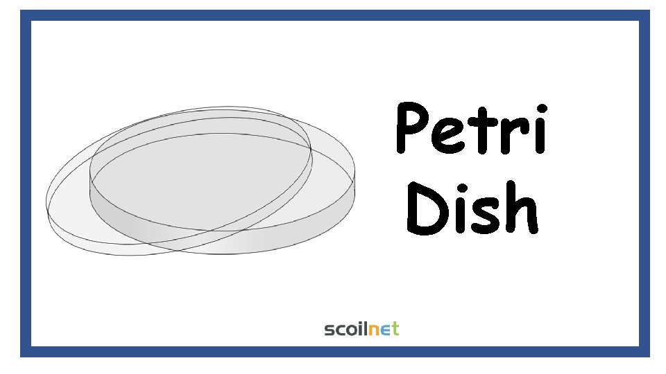 Petri Dish 