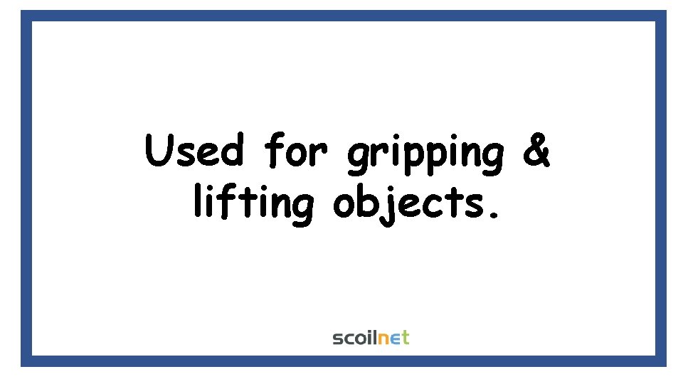 Used for gripping & lifting objects. 