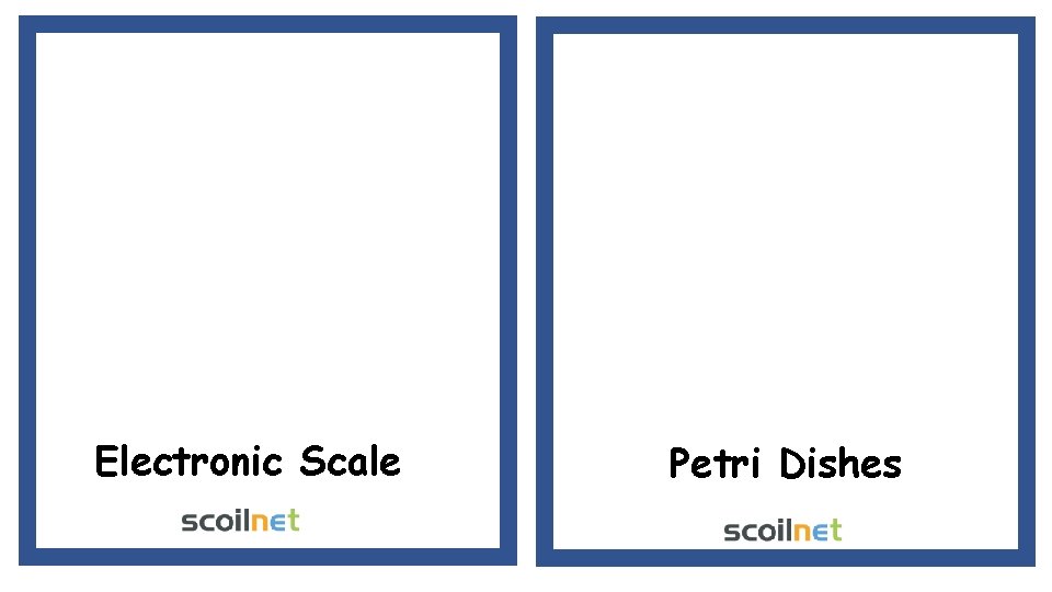 Electronic Scale Petri Dishes Electronic Scale Petri Dishes