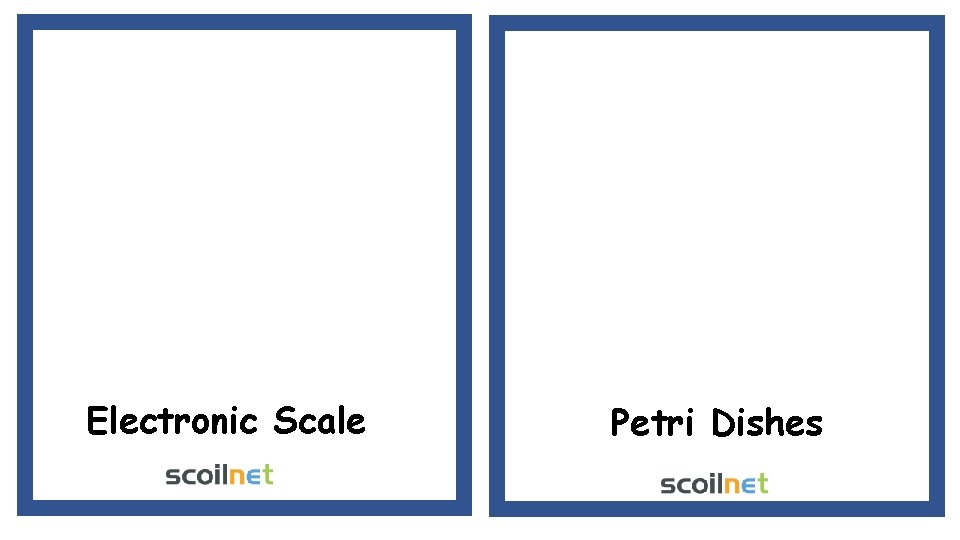 Electronic Scale Petri Dishes 