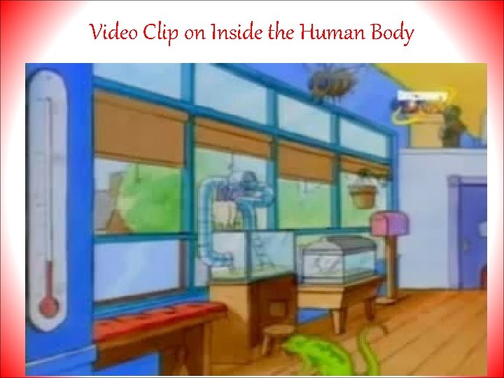 Video Clip on Inside the Human Body 