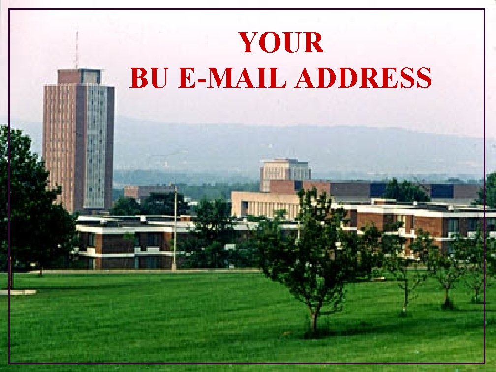 YOUR BU E-MAIL ADDRESS 