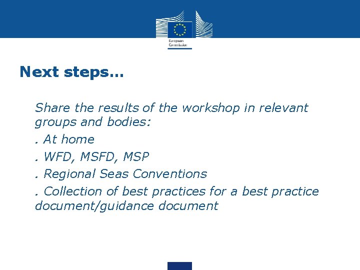 Next steps… • Share the results of the workshop in relevant groups and bodies: