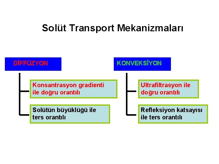 Solüt Transport Mekanizmaları DİFFÜZYON KONVEKSİYON Konsantrasyon gradienti ile doğru orantılı Ultrafiltrasyon ile doğru orantılı