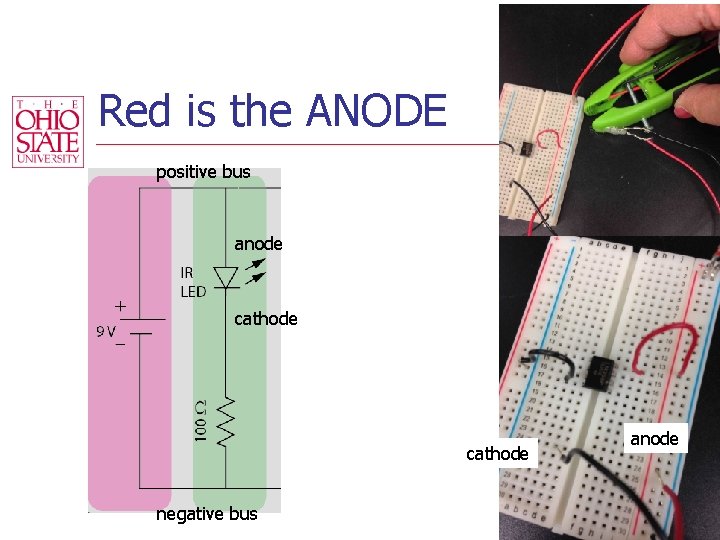 Red is the ANODE positive bus anode cathode negative bus anode 