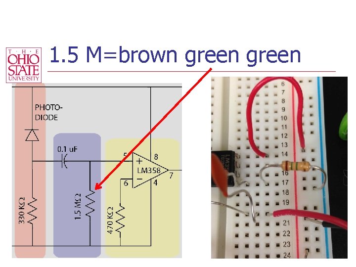 1. 5 M=brown green 