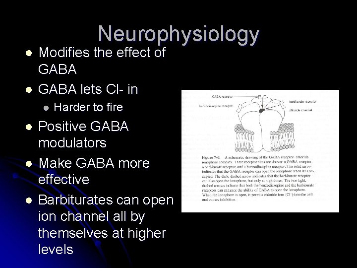 Neurophysiology l l Modifies the effect of GABA lets Cl- in l l Harder