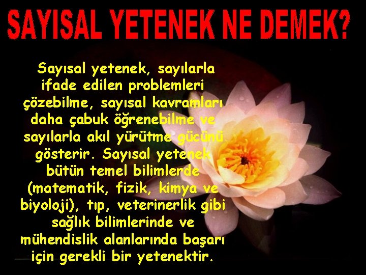 Sayısal yetenek, sayılarla ifade edilen problemleri çözebilme, sayısal kavramları daha çabuk öğrenebilme ve sayılarla Sayısal yetenek, sayılarla ifade edilen problemleri çözebilme, sayısal kavramları daha çabuk öğrenebilme ve sayılarla