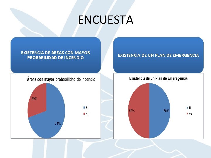 ENCUESTA EXISTENCIA DE ÁREAS CON MAYOR PROBABILIDAD DE INCENDIO EXISTENCIA DE UN PLAN DE