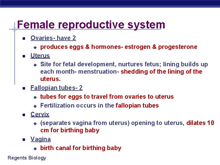Female reproductive system Ovaries- have 2 u produces eggs & hormones- estrogen & progesterone