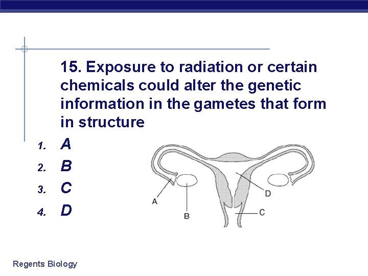 1. 2. 3. 4. 15. Exposure to radiation or certain chemicals could alter the