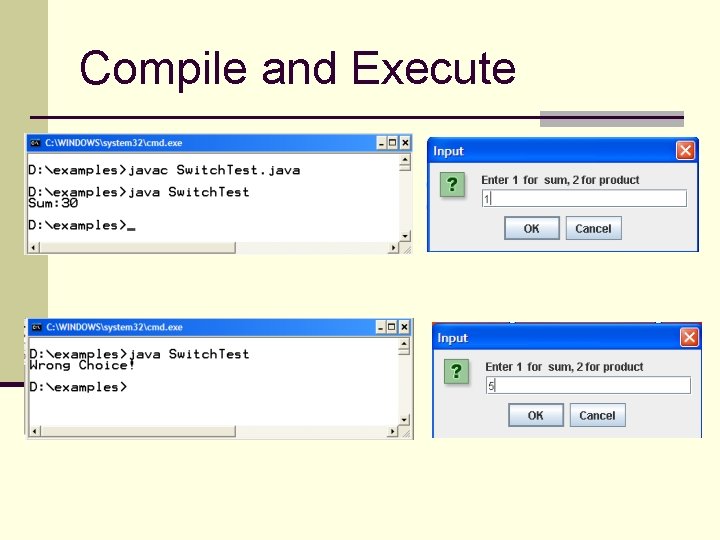 Compile and Execute 