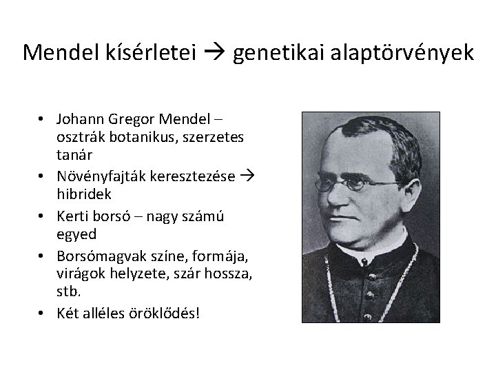 Mendel kísérletei genetikai alaptörvények • Johann Gregor Mendel – osztrák botanikus, szerzetes tanár •