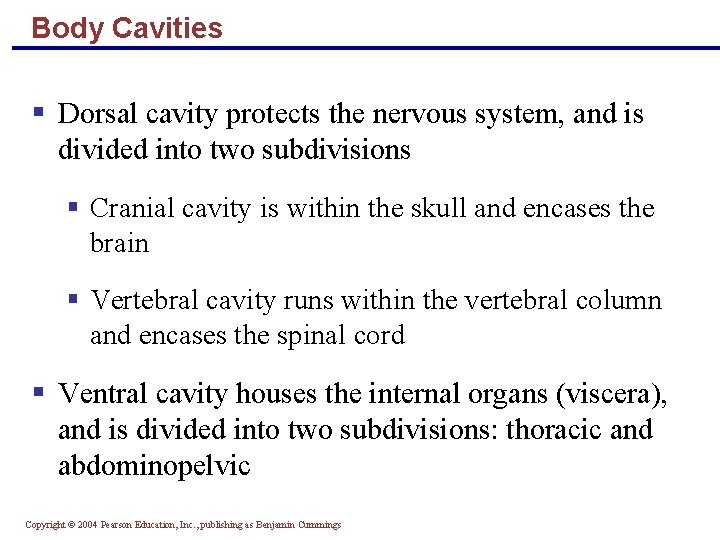 Body Cavities § Dorsal cavity protects the nervous system, and is divided into two