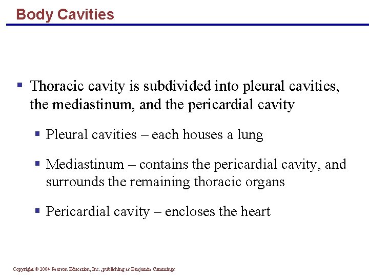 Body Cavities § Thoracic cavity is subdivided into pleural cavities, the mediastinum, and the