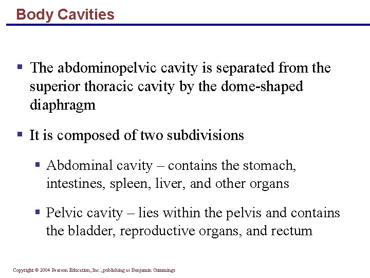 Body Cavities § The abdominopelvic cavity is separated from the superior thoracic cavity by