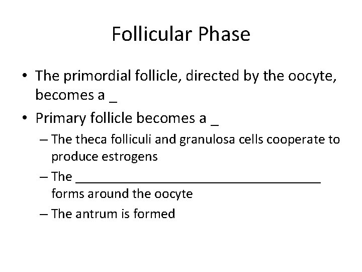 Follicular Phase • The primordial follicle, directed by the oocyte, becomes a _ •