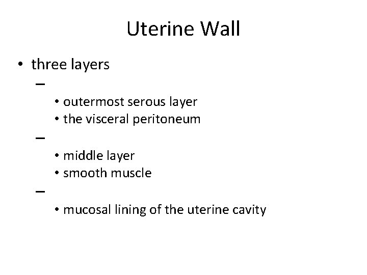 Uterine Wall • three layers – • outermost serous layer • the visceral peritoneum