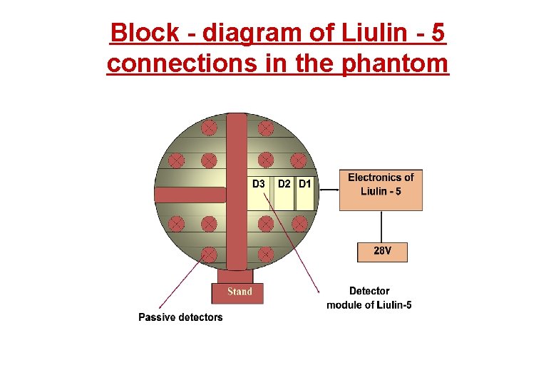 Block - diagram of Liulin - 5 connections in the phantom 