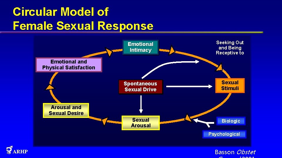 Circular Model of Female Sexual Response Emotional Intimacy Seeking Out and Being Receptive to